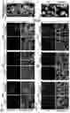 Fig. 07 - Composition and method for treating neuronal ceroid lipofuscinosis