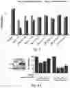 Fig. 08 - Small molecule BCL-2 functional converters as cancer therapeutics