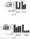 Fig. 09 - Small molecule BCL-2 functional converters as cancer therapeutics