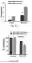 Fig. 33 - Small molecule BCL-2 functional converters as cancer therapeutics