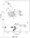 Fig. 50 - Small molecule BCL-2 functional converters as cancer therapeutics