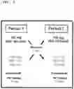 Fig. 02 - Method of treatment