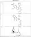 Fig. 07 - MEDICINAL COMPOUNDS AND NUTRITIONAL SUPPLEMENTS