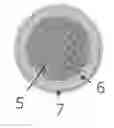 Fig. 01 - Pharmaceutical composition