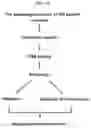 Fig. 02 - Autophagy enhancer and use thereof