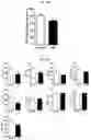 Fig. 22 - Autophagy enhancer and use thereof