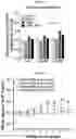 Fig. 33 - Autophagy enhancer and use thereof