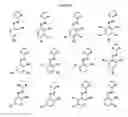 Fig. 03 - Azophenols as ERG Oncogene Inhibitors