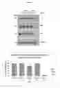 Fig. 06 - Azophenols as ERG Oncogene Inhibitors