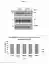 Fig. 08 - Azophenols as ERG Oncogene Inhibitors