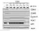 Fig. 01 - Compositions and methods for treating CDK4/6-mediated cancer