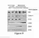 Fig. 10 - Compositions and methods for treating CDK4/6-mediated cancer