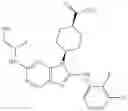 Fig. 281 - Substituted aminopurine compounds, compositions thereof, and methods of treatment therewith