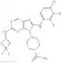 Fig. 341 - Substituted aminopurine compounds, compositions thereof, and methods of treatment therewith