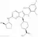 Fig. 424 - Substituted aminopurine compounds, compositions thereof, and methods of treatment therewith