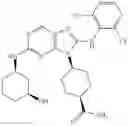 Fig. 458 - Substituted aminopurine compounds, compositions thereof, and methods of treatment therewith