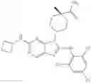 Fig. 712 - Substituted aminopurine compounds, compositions thereof, and methods of treatment therewith