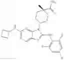 Fig. 716 - Substituted aminopurine compounds, compositions thereof, and methods of treatment therewith