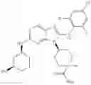 Fig. 741 - Substituted aminopurine compounds, compositions thereof, and methods of treatment therewith