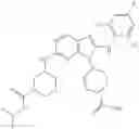 Fig. 876 - Substituted aminopurine compounds, compositions thereof, and methods of treatment therewith