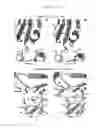 Fig. 44 - NATURAL KILLER T (NKT) CELLS COMPRISING ENGINEERED T CELL RECEPTORS