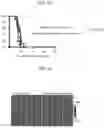 Fig. 06 - SCAFFOLDS TO TREAT SOLID TUMOR CELLS AND ESCAPE VARIANTS