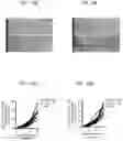 Fig. 30 - SCAFFOLDS TO TREAT SOLID TUMOR CELLS AND ESCAPE VARIANTS