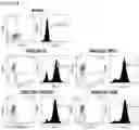 Fig. 15 - CHIMERIC ANTIGEN RECEPTOR AND NATURAL KILLER CELLS EXPRESSING SAME