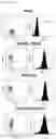 Fig. 17 - CHIMERIC ANTIGEN RECEPTOR AND NATURAL KILLER CELLS EXPRESSING SAME