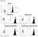 Fig. 19 - CHIMERIC ANTIGEN RECEPTOR AND NATURAL KILLER CELLS EXPRESSING SAME