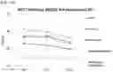 Fig. 20 - CHIMERIC ANTIGEN RECEPTOR AND NATURAL KILLER CELLS EXPRESSING SAME