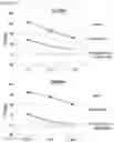 Fig. 23 - CHIMERIC ANTIGEN RECEPTOR AND NATURAL KILLER CELLS EXPRESSING SAME