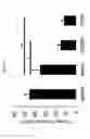Fig. 28 - Chimeric antigen receptors targeting TIM-1