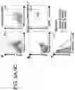Fig. 09 - ADOPTIVE TRANSFER OF PLASMACYTOID DENDRITIC CELLS TO PREVENT OR TREAT OCULAR DISEASES AND CONDITIONS