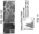 Fig. 10 - ADOPTIVE TRANSFER OF PLASMACYTOID DENDRITIC CELLS TO PREVENT OR TREAT OCULAR DISEASES AND CONDITIONS