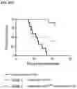 Fig. 33 - DOSING REGIMENS FOR THE MOBILIZATION OF HEMATOPOIETIC STEM AND PROGENITOR CELLS