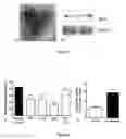 Fig. 02 - Method of treatment