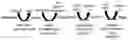Fig. 01 - Microorganisms programmed to produce immune modulators and anti-cancer therapeutics in tumor cells