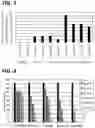 Fig. 03 - Microorganisms programmed to produce immune modulators and anti-cancer therapeutics in tumor cells