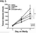 Fig. 04 - Microorganisms programmed to produce immune modulators and anti-cancer therapeutics in tumor cells