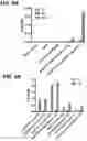 Fig. 05 - Microorganisms programmed to produce immune modulators and anti-cancer therapeutics in tumor cells