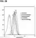Fig. 23 - Microorganisms programmed to produce immune modulators and anti-cancer therapeutics in tumor cells