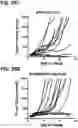 Fig. 34 - Microorganisms programmed to produce immune modulators and anti-cancer therapeutics in tumor cells