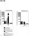 Fig. 40 - Microorganisms programmed to produce immune modulators and anti-cancer therapeutics in tumor cells