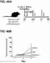 Fig. 41 - Microorganisms programmed to produce immune modulators and anti-cancer therapeutics in tumor cells