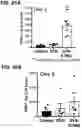 Fig. 45 - Microorganisms programmed to produce immune modulators and anti-cancer therapeutics in tumor cells