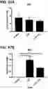 Fig. 48 - Microorganisms programmed to produce immune modulators and anti-cancer therapeutics in tumor cells