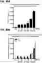Fig. 49 - Microorganisms programmed to produce immune modulators and anti-cancer therapeutics in tumor cells