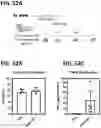 Fig. 56 - Microorganisms programmed to produce immune modulators and anti-cancer therapeutics in tumor cells