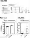 Fig. 58 - Microorganisms programmed to produce immune modulators and anti-cancer therapeutics in tumor cells